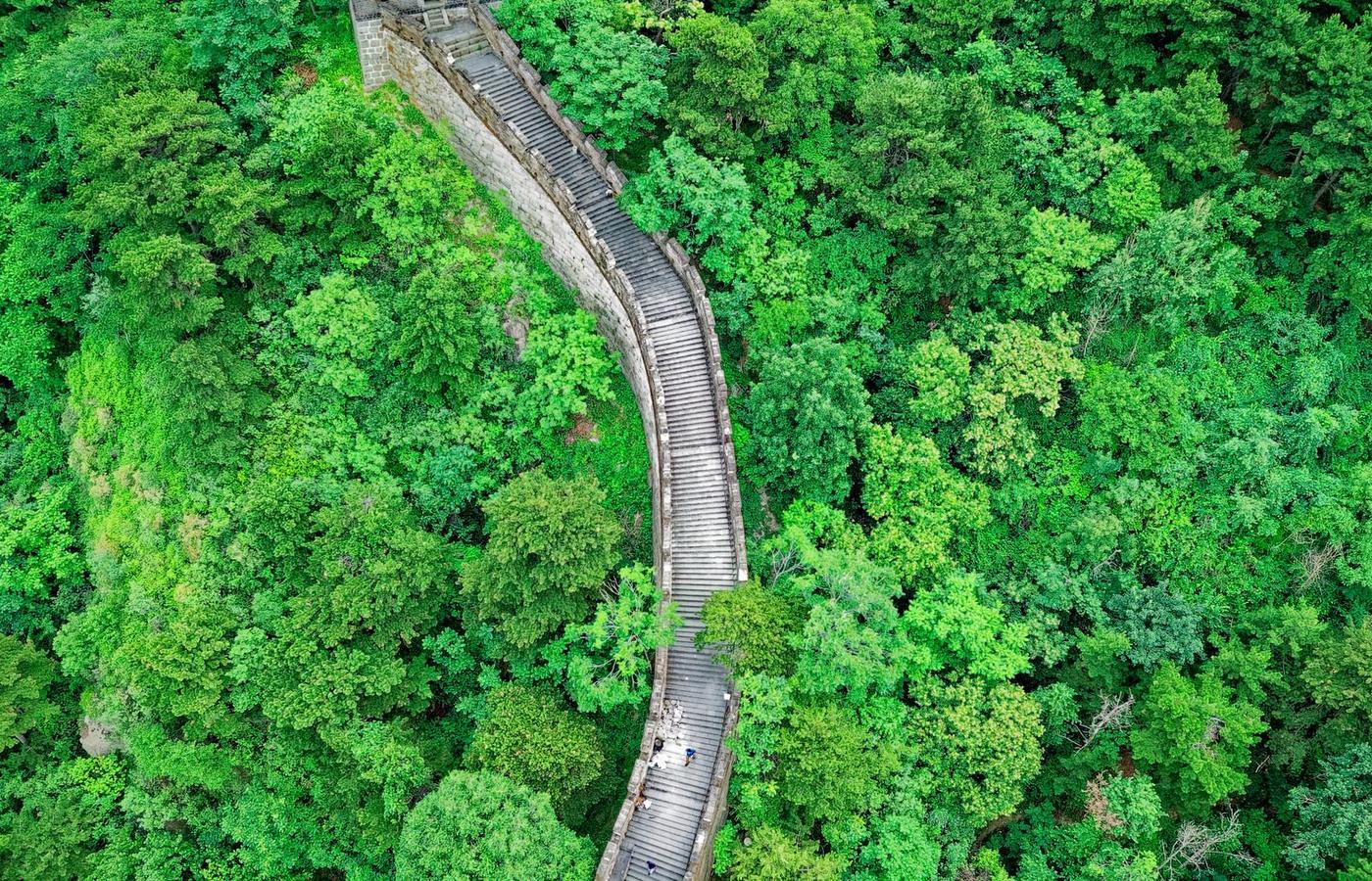 The Great Wall winding through green forest, seen from above
